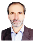 حسن ناوی پور