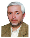 Reza Mirfakhraei
