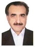 حسن صدیقی