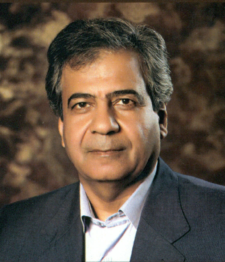 محمدحسین پاپلی یزدی