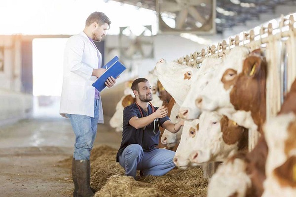 Animal Sciences