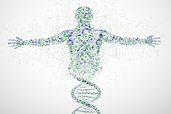Genetics
