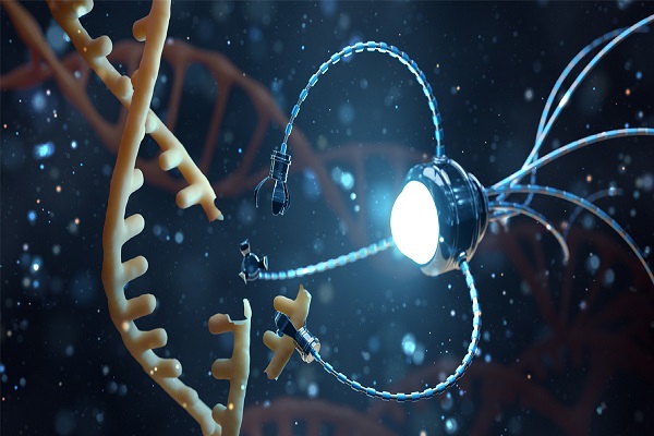 NanoBiotechnology