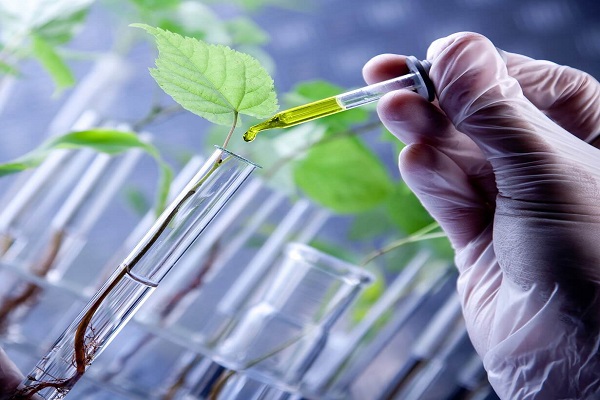 Plant Sciences