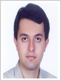 هادی نصیری وطن