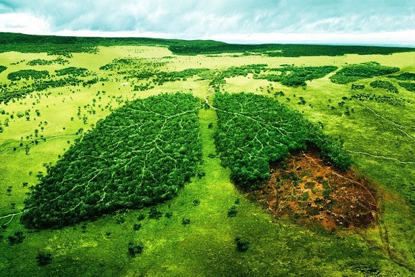 Environment Science