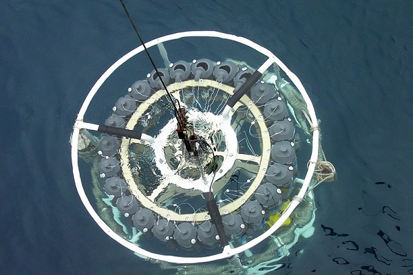 Marine Physics