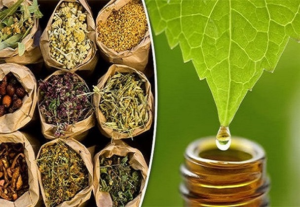دوره آموزشی پرورش دهنده گیاهان دارویی برگزار می شود