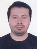 رضا مینایی