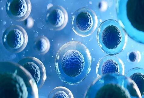 Basic sciences, Biology and health