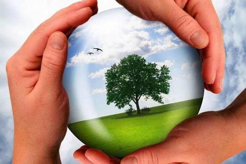 Environment